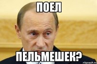 поел пельмешек?