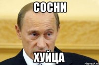 сосни хуйца