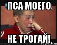 пса моего не трогай!