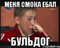меня смока ебал бульдог