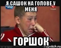 я сашок на голове у меня горшок