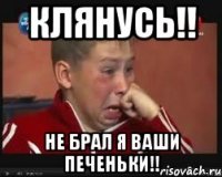 клянусь!! не брал я ваши печеньки!!