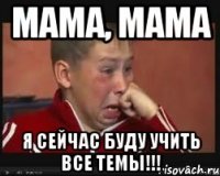 мама, мама я сейчас буду учить все темы!!!