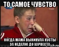 то самое чувство когда мама выкинула кусты за неделю до харвеста