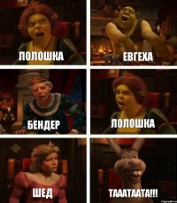 Лолошка Бендер Шед Евгеха Лолошка ТАААТААТА!!!