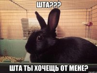 шта??? шта ты хочещь от мене?