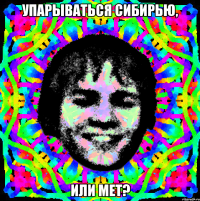 упарываться сибирью, или мет?