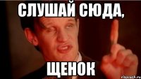 слушай сюда, щенок