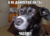 а не дамперок ли ты часом?