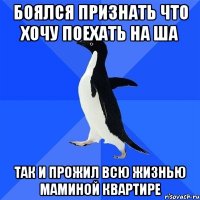 боялся признать что хочу поехать на ша так и прожил всю жизнью маминой квартире