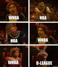 WNBA NBA WNBA NBA WNBA D-League