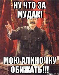 ну что за мудак! мою алиночку обижать!!!