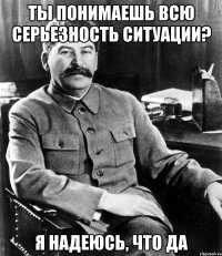 ты понимаешь всю серьезность ситуации? я надеюсь, что да