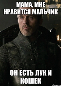 мама, мне нравится мальчик он есть лук и кошек