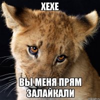 хехе вы меня прям залайкали