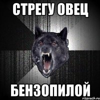 стрегу овец бензопилой