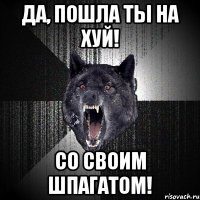 да, пошла ты на хуй! со своим шпагатом!