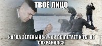 твоё лицо когда зелёный жучок вылетает и ты не сохранился