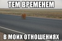 тем временем в моих отношениях