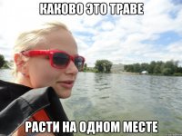 каково это траве расти на одном месте