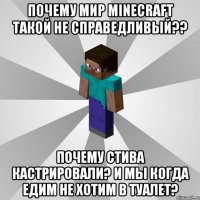 почему мир minecraft такой не справедливый?? почему стива кастрировали? и мы когда едим не хотим в туалет?