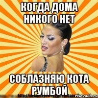 когда дома никого нет соблазняю кота румбой