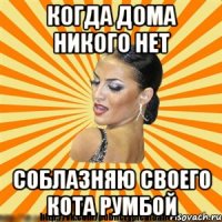 когда дома никого нет соблазняю своего кота румбой