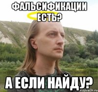 фальсификации есть? а если найду?