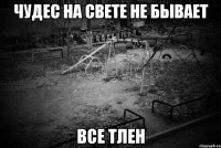 чудес на свете не бывает все тлен