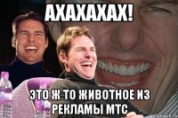 ахахахах! это ж то животное из рекламы мтс