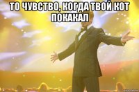 то чувство, когда твой кот покакал 