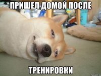 пришел домой после тренировки