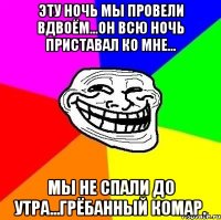 эту ночь мы провели вдвоём...он всю ночь приставал ко мне... мы не спали до утра...грёбанный комар.