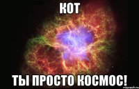 кот ты просто космос!