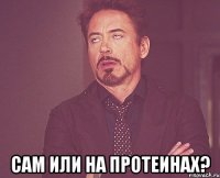  сам или на протеинах?