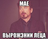 мае вырожэнии леца