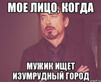 мое лицо, когда мужик ищет изумрудный город