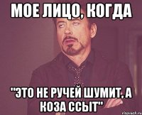 мое лицо, когда "это не ручей шумит, а коза ссыт"