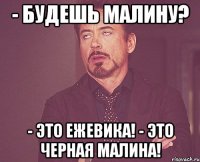 - будешь малину? - это ежевика! - это черная малина!