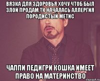 вязка для здоровья хочу чтоб был злой продам,тк началась аллергия породистый метис чаппи педигри кошка имеет право на материнство