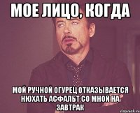 мое лицо, когда мой ручной огурец отказывается нюхать асфальт со мной на завтрак