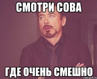 смотри сова где очень смешно