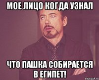 мое лицо когда узнал что пашка собирается в египет!