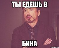 ты едешь в бина