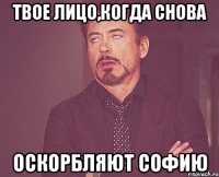 твое лицо,когда снова оскорбляют софию