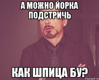 а можно йорка подстричь как шпица бу?