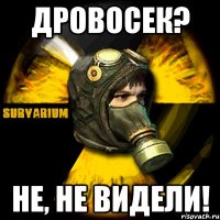 дровосек? не, не видели!