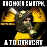 под ноги смотри, а то откусят