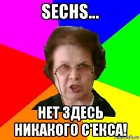 sechs... нет здесь никакого с'екса!