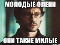 молодые олени они такие милые